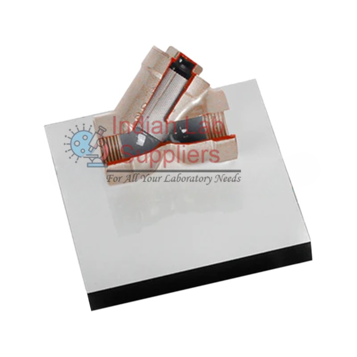 Cutaway Line Strainer Valve